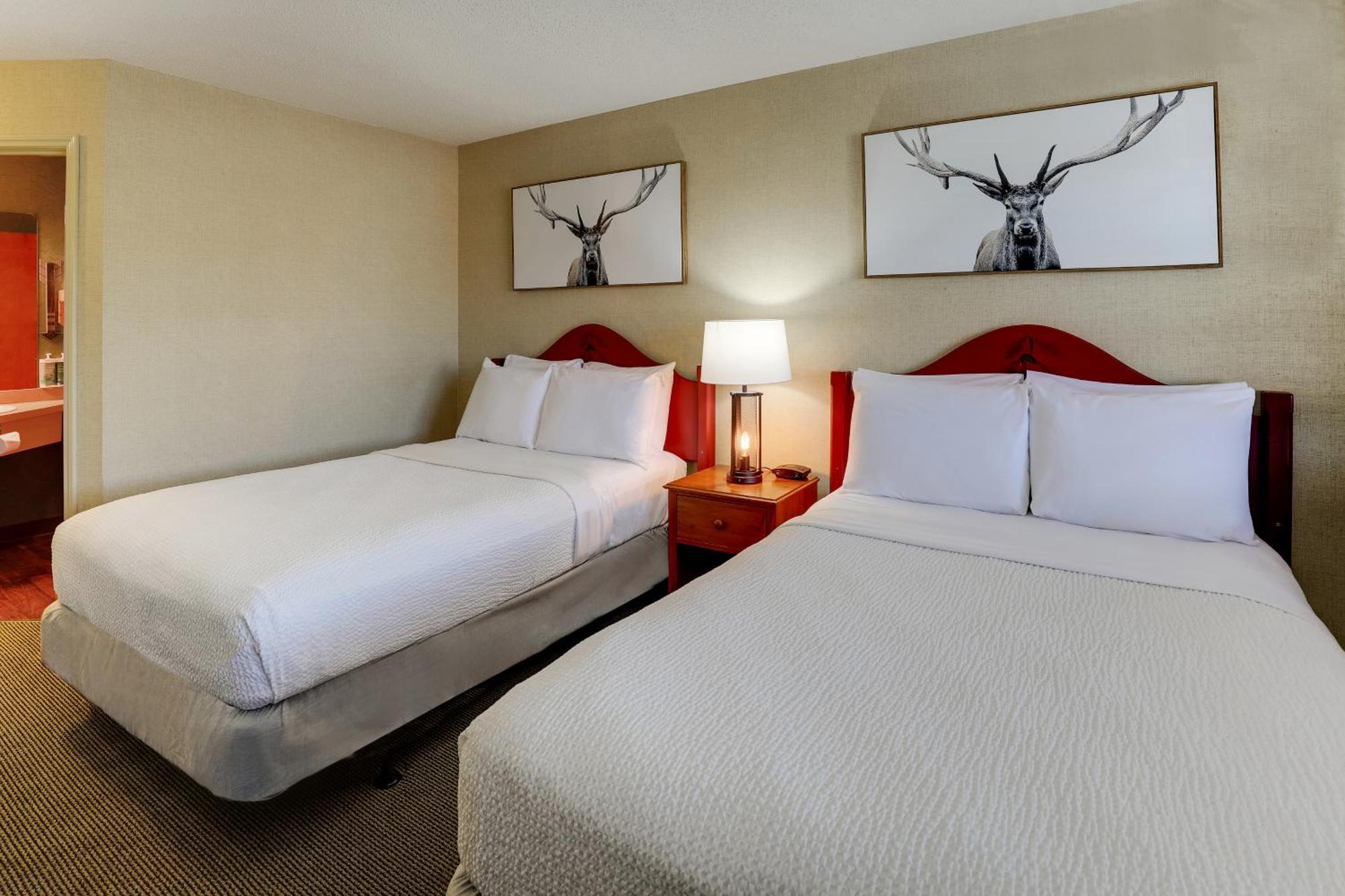 Stoney Creek Lnn Galena Hotel Ngoại thất bức ảnh